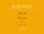 Schubert, Franz: Allegro für Klavier zu vier Händen