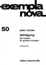 Ruzicka, Peter: Befragung