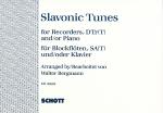 Bergmann Walter: Slavonic tunes