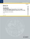 Bach Johann Sebastian: Andante (Brandenburgisches Konzert 4)