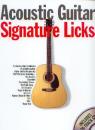 Acoustic Guitar Signature Lick