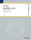 Linde Hans Martin: Blockflöte virtuos