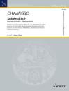 Chamisso Olivier Mayran de: Sommerabend