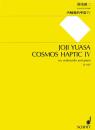 Yuasa, Joji: Cosmos Haptic IV