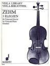 Zehm Friedrich: Elegien 3